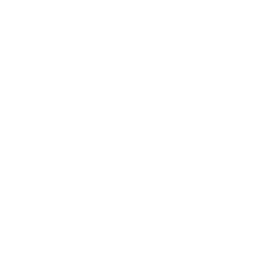 Softviser Logo